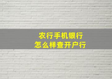 农行手机银行怎么样查开户行