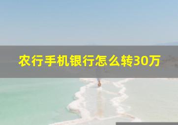 农行手机银行怎么转30万