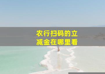 农行扫码的立减金在哪里看