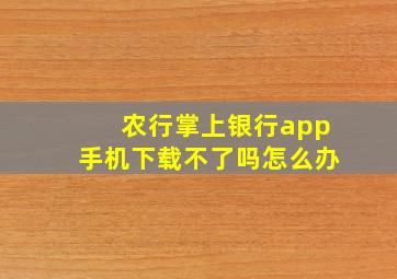 农行掌上银行app手机下载不了吗怎么办