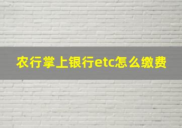 农行掌上银行etc怎么缴费