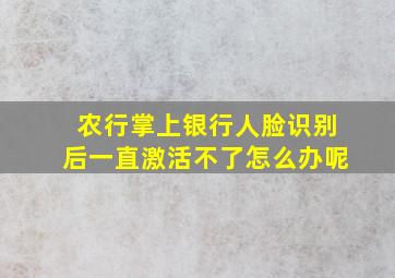 农行掌上银行人脸识别后一直激活不了怎么办呢