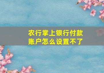 农行掌上银行付款账户怎么设置不了