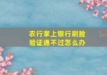 农行掌上银行刷脸验证通不过怎么办