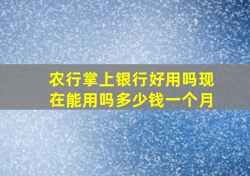 农行掌上银行好用吗现在能用吗多少钱一个月