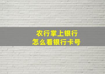 农行掌上银行怎么看银行卡号