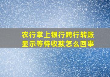 农行掌上银行跨行转账显示等待收款怎么回事