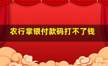 农行掌银付款码打不了钱