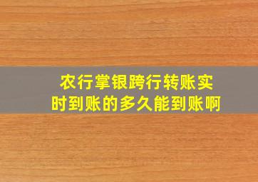 农行掌银跨行转账实时到账的多久能到账啊