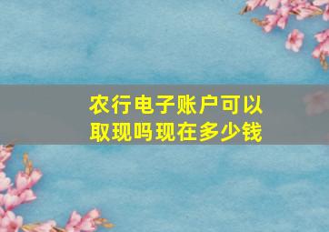 农行电子账户可以取现吗现在多少钱