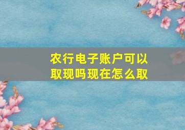 农行电子账户可以取现吗现在怎么取