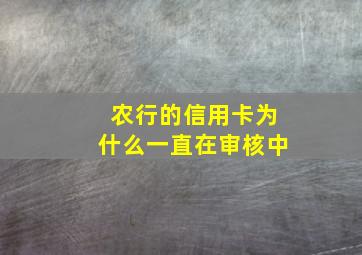 农行的信用卡为什么一直在审核中