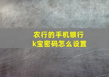 农行的手机银行k宝密码怎么设置