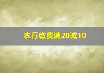 农行缴费满20减10