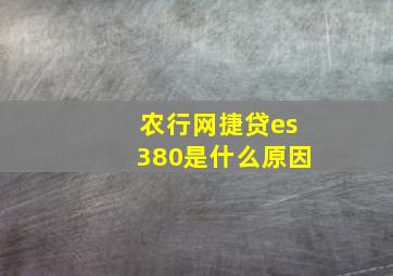 农行网捷贷es380是什么原因