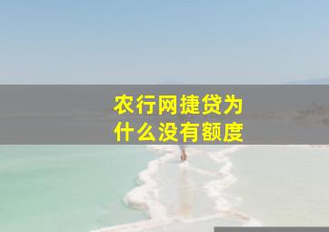 农行网捷贷为什么没有额度