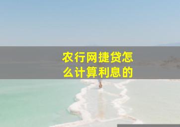 农行网捷贷怎么计算利息的