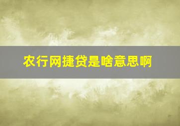 农行网捷贷是啥意思啊