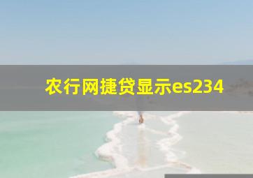 农行网捷贷显示es234