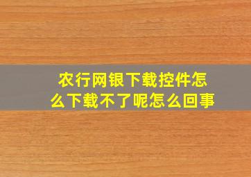 农行网银下载控件怎么下载不了呢怎么回事