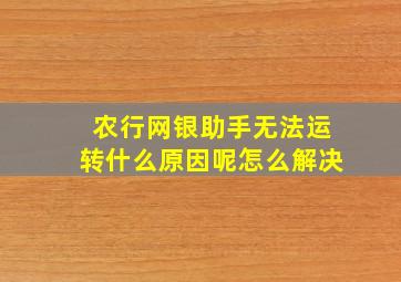 农行网银助手无法运转什么原因呢怎么解决