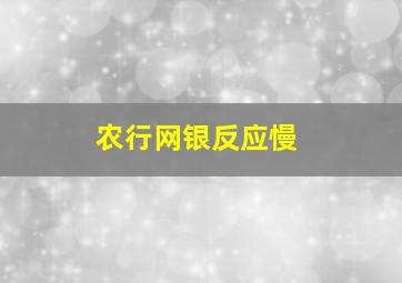 农行网银反应慢