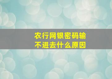 农行网银密码输不进去什么原因