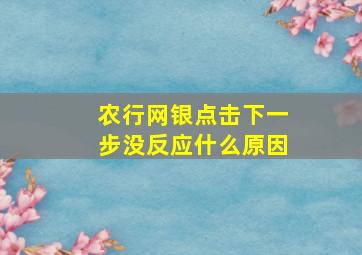 农行网银点击下一步没反应什么原因