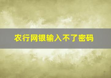 农行网银输入不了密码