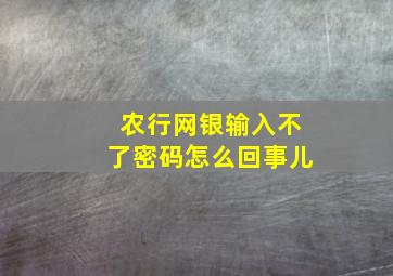 农行网银输入不了密码怎么回事儿