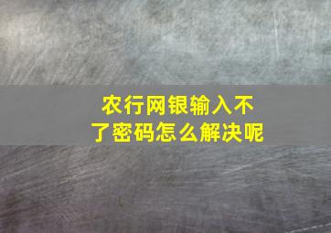 农行网银输入不了密码怎么解决呢