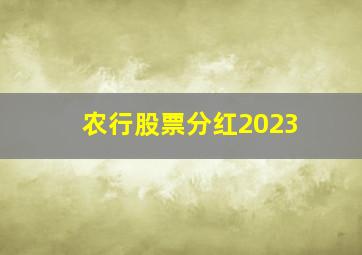 农行股票分红2023