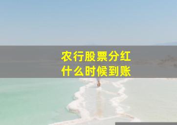 农行股票分红什么时候到账