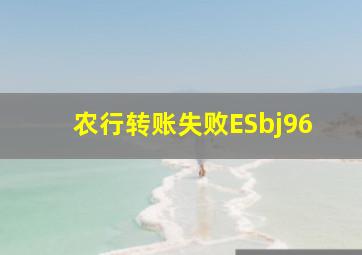 农行转账失败ESbj96