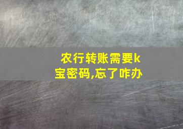 农行转账需要k宝密码,忘了咋办