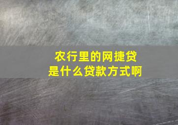 农行里的网捷贷是什么贷款方式啊