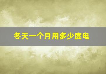 冬天一个月用多少度电