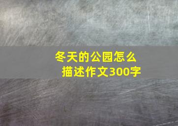 冬天的公园怎么描述作文300字