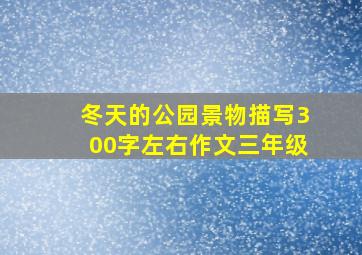 冬天的公园景物描写300字左右作文三年级