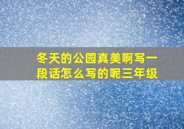 冬天的公园真美啊写一段话怎么写的呢三年级