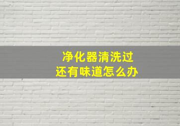 净化器清洗过还有味道怎么办