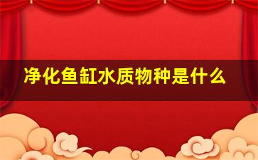 净化鱼缸水质物种是什么