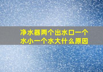 净水器两个出水口一个水小一个水大什么原因