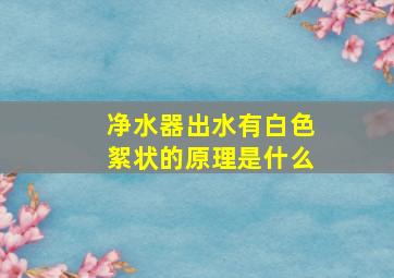 净水器出水有白色絮状的原理是什么