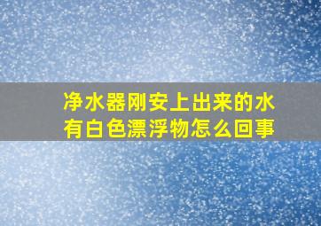 净水器刚安上出来的水有白色漂浮物怎么回事