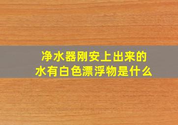 净水器刚安上出来的水有白色漂浮物是什么