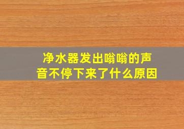 净水器发出嗡嗡的声音不停下来了什么原因