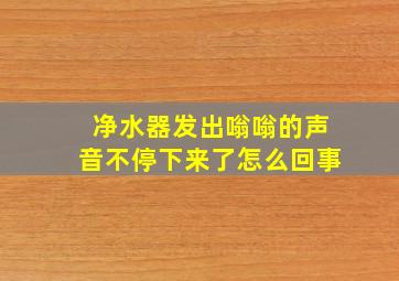 净水器发出嗡嗡的声音不停下来了怎么回事