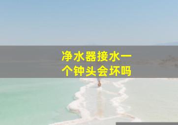 净水器接水一个钟头会坏吗