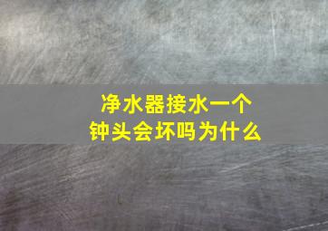 净水器接水一个钟头会坏吗为什么